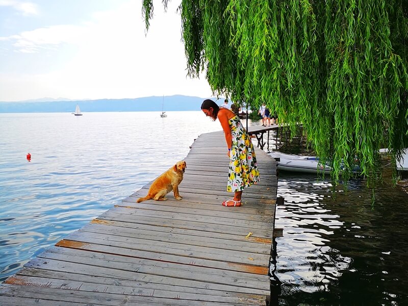 Piesek i dziewczyna na molo nad jeziorem