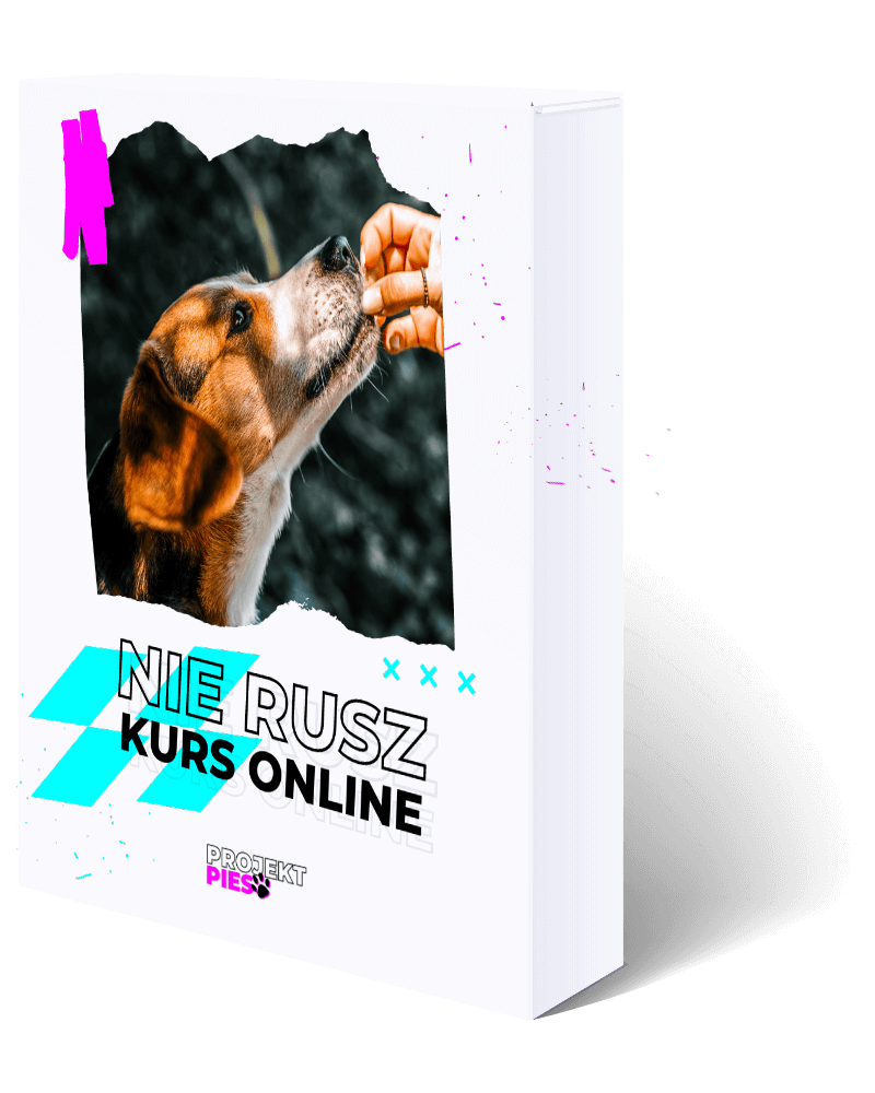 Pudełko Nie Rusz Kurs Online33222