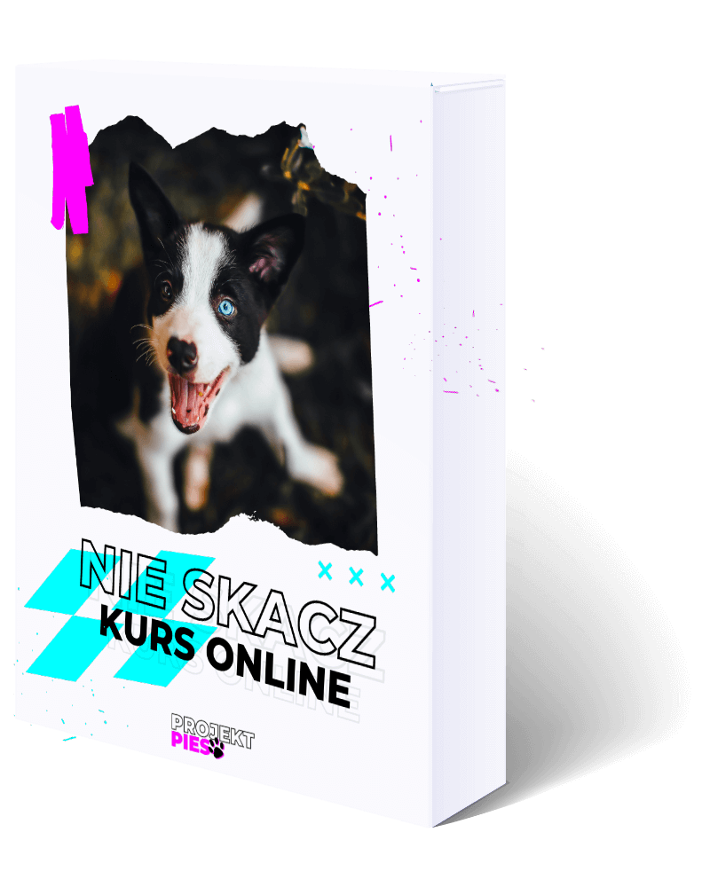 Pudełko Nie Skacz Kurs Online2222